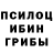 Галлюциногенные грибы мухоморы Klaus Engel