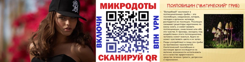 наркошоп Афипский Псилоцибиновые грибы MAGIC MUSHROOMS