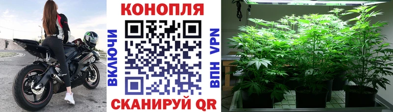 дарк нет какой сайт  Афипский  МАРИХУАНА индика  omg зеркало 